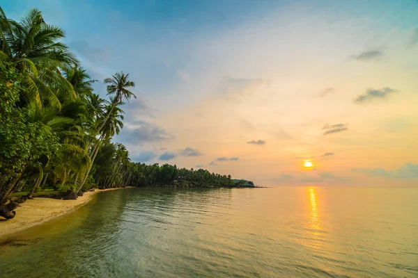 Остров Парадизе с пляжем и морем вокруг кокосовой пальмы — стоковое фото