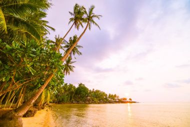 Plaj ve deniz çevresinde Hindistan cevizi hurma ile güzel cennet ada
