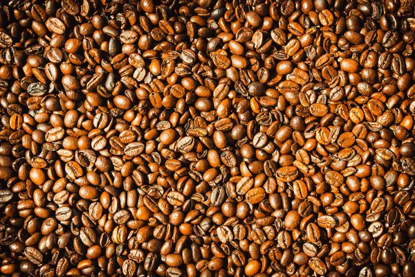 Brown coffee beans and seed — Stock Photo, Image