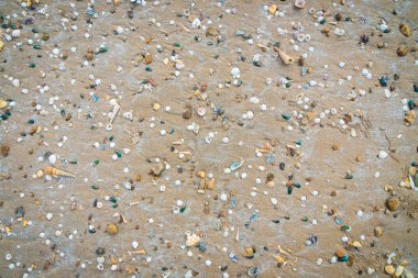 Bir sürü kum üzerinde kabukları