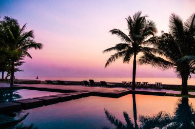 Siluet Hindistan cevizi hurma ağacının etrafında Açık Yüzme Havuzu