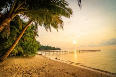 Plaj ve deniz çevresinde Hindistan cevizi hurma ile güzel cennet ada