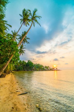 Plaj ve deniz çevresinde Hindistan cevizi hurma ile güzel cennet ada