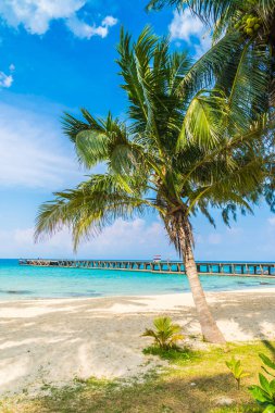 Güzel tropikal plaj ve deniz