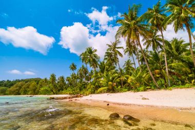 Deniz ve plaj manzara ile güzel cennet ada