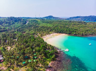 Güzel bir plaj ve deniz Hindistan cevizi hurma ağacı ile havadan görünümü
