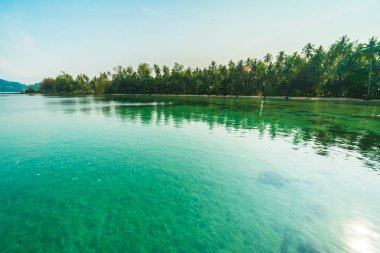 Güzel cennet ada plaj ve deniz