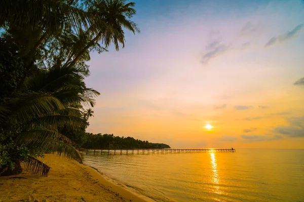 Hermosa isla paradisíaca con playa y mar alrededor de palma de coco — Foto de Stock