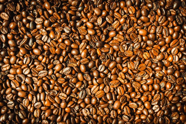 Brown coffee beans and seed — Stock Photo, Image