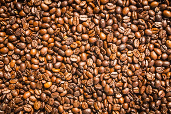 Brown coffee beans and seed — Stock Photo, Image