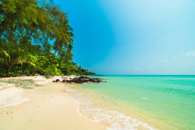 Güzel cennet tropikal plaj ve deniz