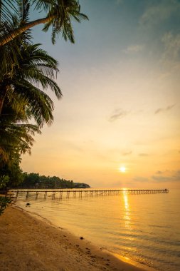 Plaj ve deniz çevresinde Hindistan cevizi hurma ile güzel cennet ada