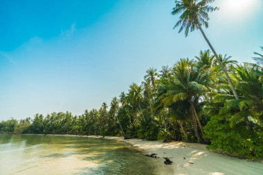 Güzel cennet ada plaj ve deniz