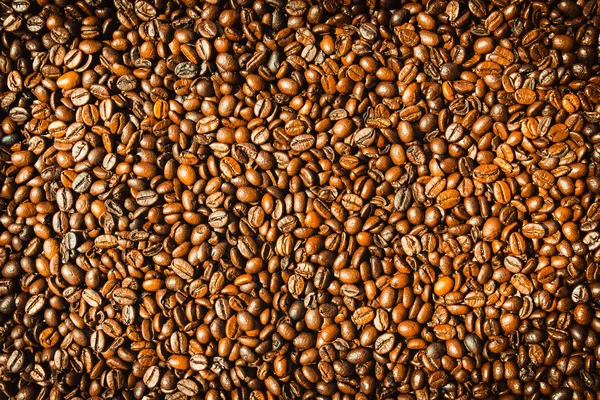 Brown coffee beans and seed — Stock Photo, Image