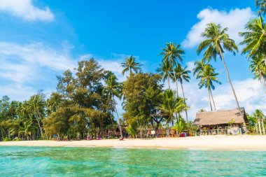 Güzel tropikal plaj ve deniz