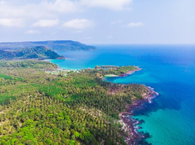 Güzel bir plaj ve deniz Hindistan cevizi hurma ağacı ile havadan görünümü