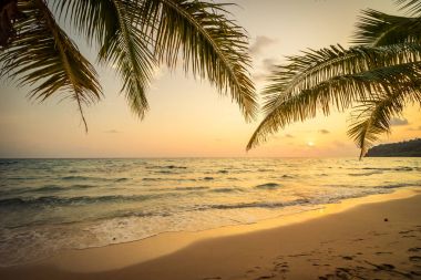 Güzel cennet ada plaj ve deniz