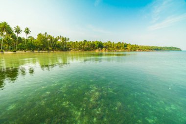 Güzel cennet ada plaj ve deniz