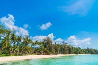 Güzel tropikal plaj ve deniz