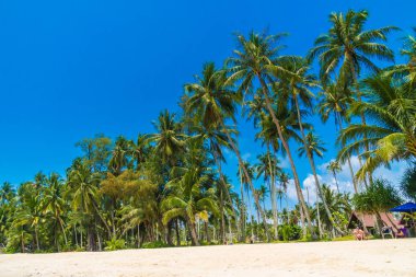 Güzel tropikal plaj ve deniz