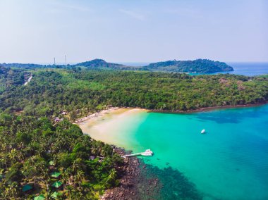 Güzel bir plaj ve deniz Hindistan cevizi hurma ağacı ile havadan görünümü