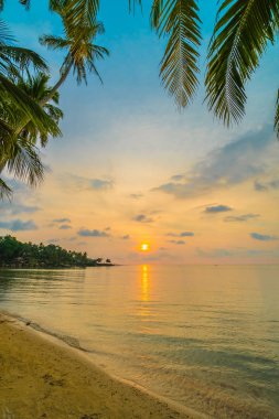 Plaj ve deniz çevresinde Hindistan cevizi hurma ile güzel cennet ada