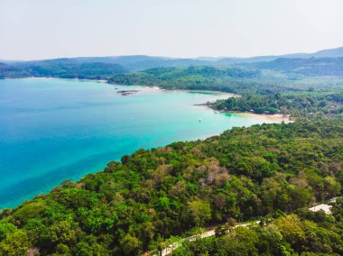 Güzel bir plaj ve deniz Hindistan cevizi hurma ağacı ile havadan görünümü