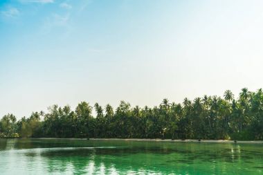 Güzel cennet ada plaj ve deniz