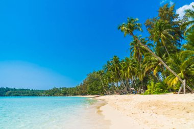 Güzel tropikal plaj ve deniz