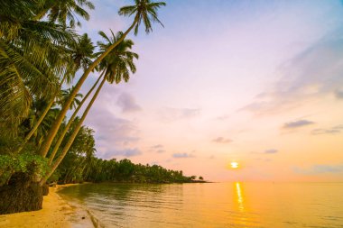 Plaj ve deniz çevresinde Hindistan cevizi hurma ile güzel cennet ada