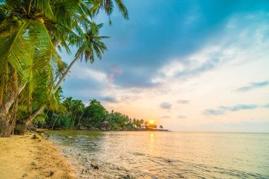 Plaj ve deniz çevresinde Hindistan cevizi hurma ile güzel cennet ada
