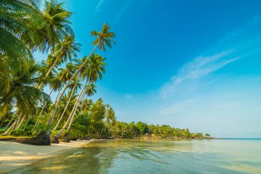 Güzel cennet ada plaj ve deniz