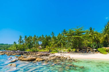 Güzel tropikal plaj ve deniz