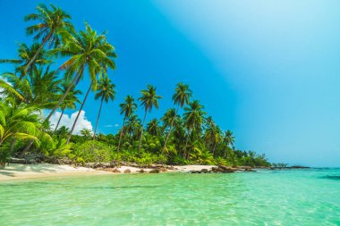 Deniz ve plaj manzara ile güzel cennet ada