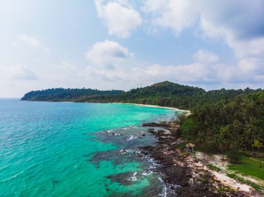 Güzel bir plaj ve deniz Hindistan cevizi hurma ağacı ile havadan görünümü
