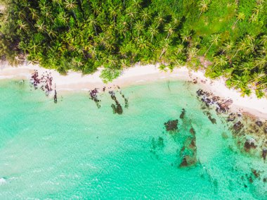 Güzel bir plaj ve deniz Hindistan cevizi hurma ağacı ile havadan görünümü