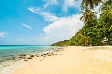 Güzel cennet ada plaj ve deniz