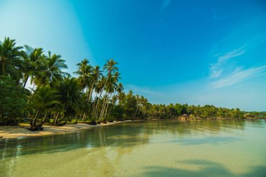 Güzel cennet ada plaj ve deniz