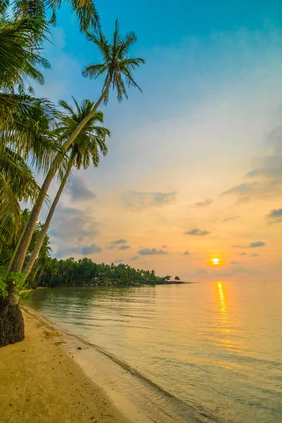 Gyönyörű Paradicsom-sziget, a strand és a tenger, ezen a környéken: kókusz Pálma — Stock Fotó