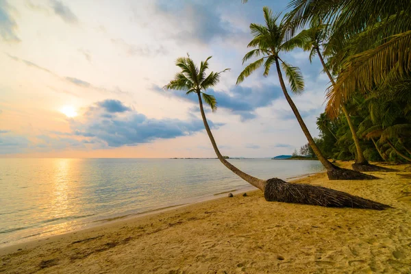 Piękny raj wyspa z plaży i morza wokół palmy kokosowe — Zdjęcie stockowe