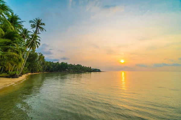 Hermosa isla paradisíaca con playa y mar alrededor de palma de coco — Foto de Stock