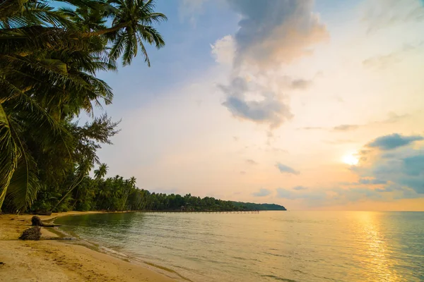 Hermosa isla paradisíaca con playa y mar alrededor de palma de coco — Foto de Stock