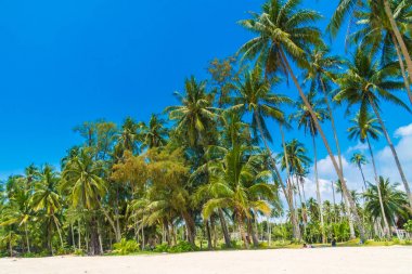 Güzel tropikal plaj ve deniz