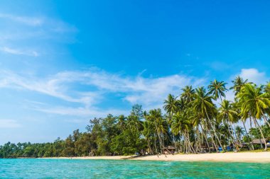 Güzel tropikal plaj ve deniz