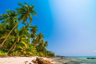 Deniz ve plaj manzara ile güzel cennet ada