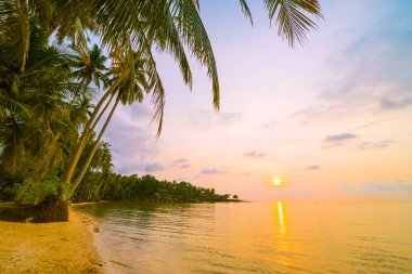 Plaj ve deniz çevresinde Hindistan cevizi hurma ile güzel cennet ada