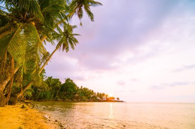 Plaj ve deniz çevresinde Hindistan cevizi hurma ile güzel cennet ada