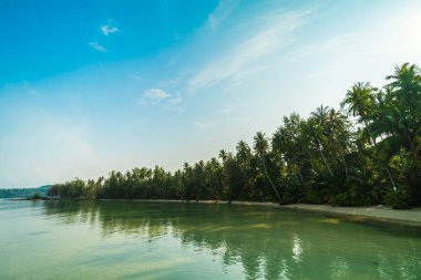 Güzel cennet ada plaj ve deniz