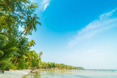 Güzel cennet ada plaj ve deniz