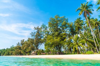 Güzel tropikal plaj ve deniz